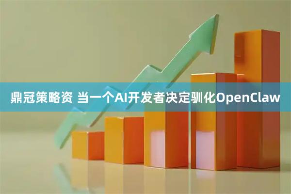 鼎冠策略资 当一个AI开发者决定驯化OpenClaw