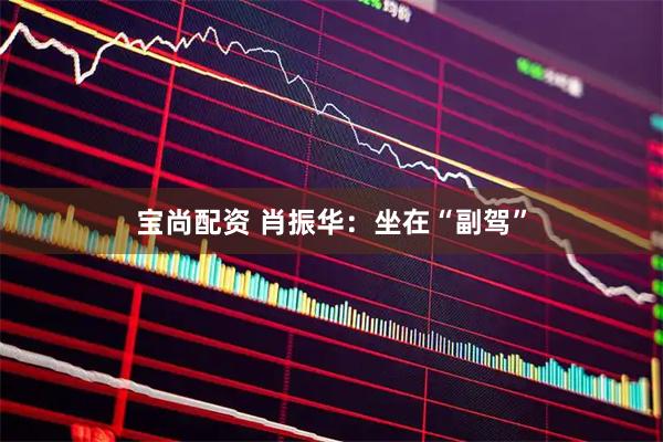 宝尚配资 肖振华：坐在“副驾”