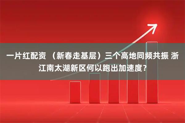 一片红配资 （新春走基层）三个高地同频共振 浙江南太湖新区何以跑出加速度？
